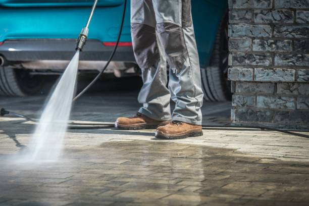 Best Soft Washing for Delicate Surfaces in Wasco, CA